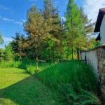 Zrzut ekranu 2025-06-15 o 19.40.28