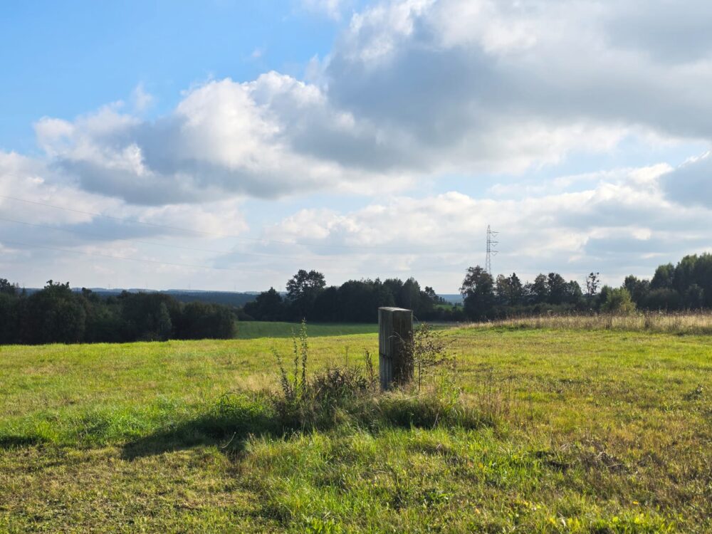 WhatsApp Image 2025-10-25 at 13.22.52(1)