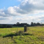 WhatsApp Image 2025-10-25 at 13.22.52(1)