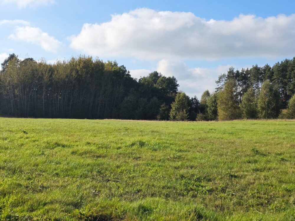 WhatsApp Image 2025-10-25 at 13.22.53