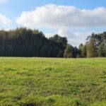 WhatsApp Image 2025-10-25 at 13.22.53