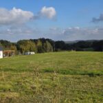 WhatsApp Image 2025-10-25 at 13.22.53(1)