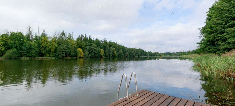 Zrzut ekranu 2025-10-25 o 13.36.45